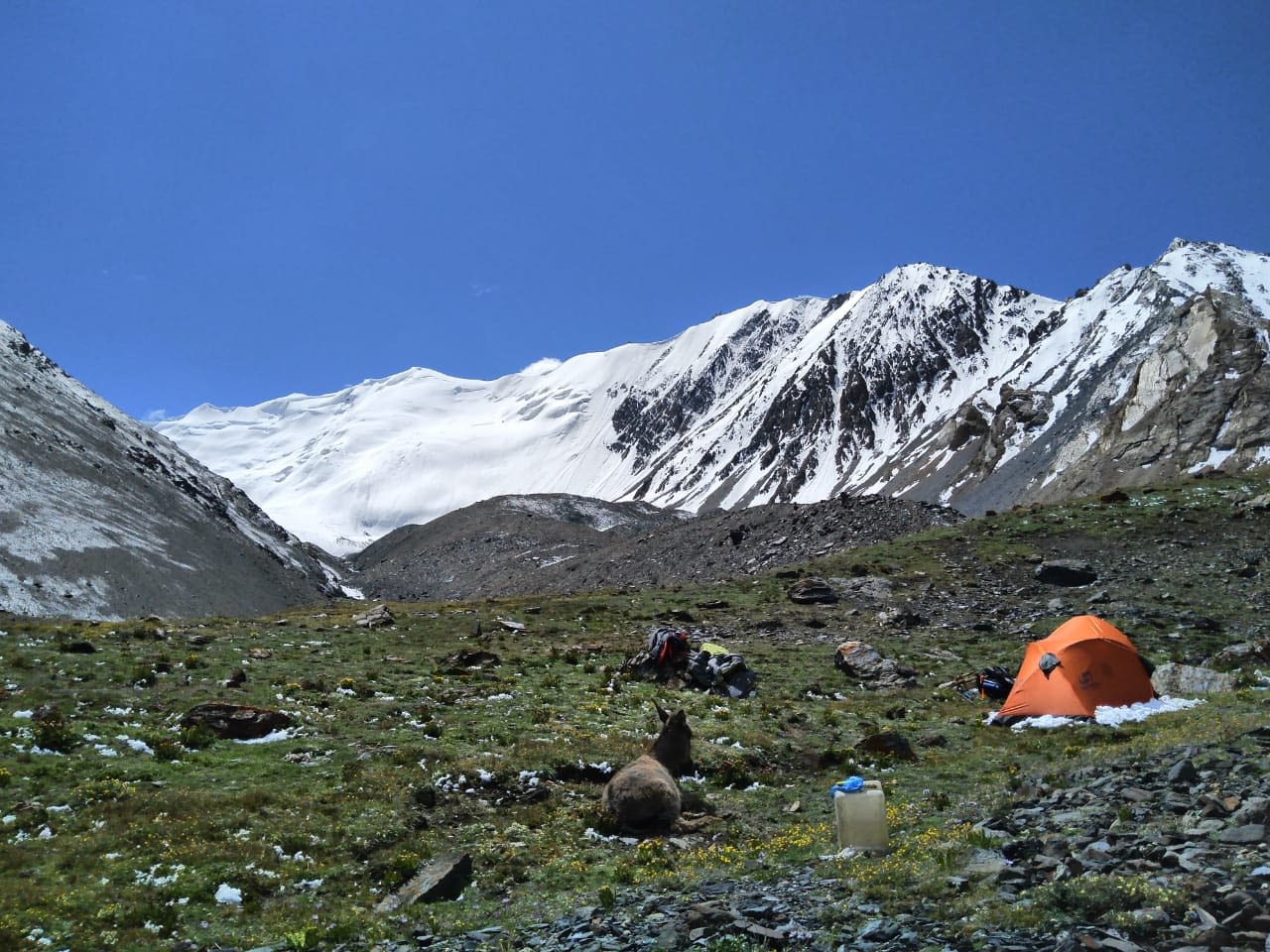 Базов лагер за връх Кохи Бробър - 4700 м.